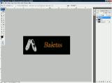 Adobe Photoshop CS3. Ikonos atskiriems puslapiams